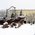 No. 361 - Wiklinowy kosz gigant w Nowym Tomyślu No. 361 - Wiklinowy kosz gigant w Nowym Tomyślu