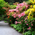 No. 188 - Arboretum w Wojsławicach No. 188 - Arboretum w Wojsławicach