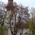 No. 110 - Kościół Redemptorystów św. Mikołaja w Zamościu